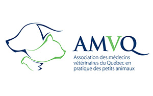 DMV-partenaire-AMVQ