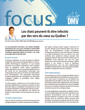 Focus-DMV_14-mai-2014_Page_1