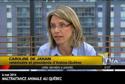 Dre Caroline de Jaham à TVA pour parler de maltraitance animale