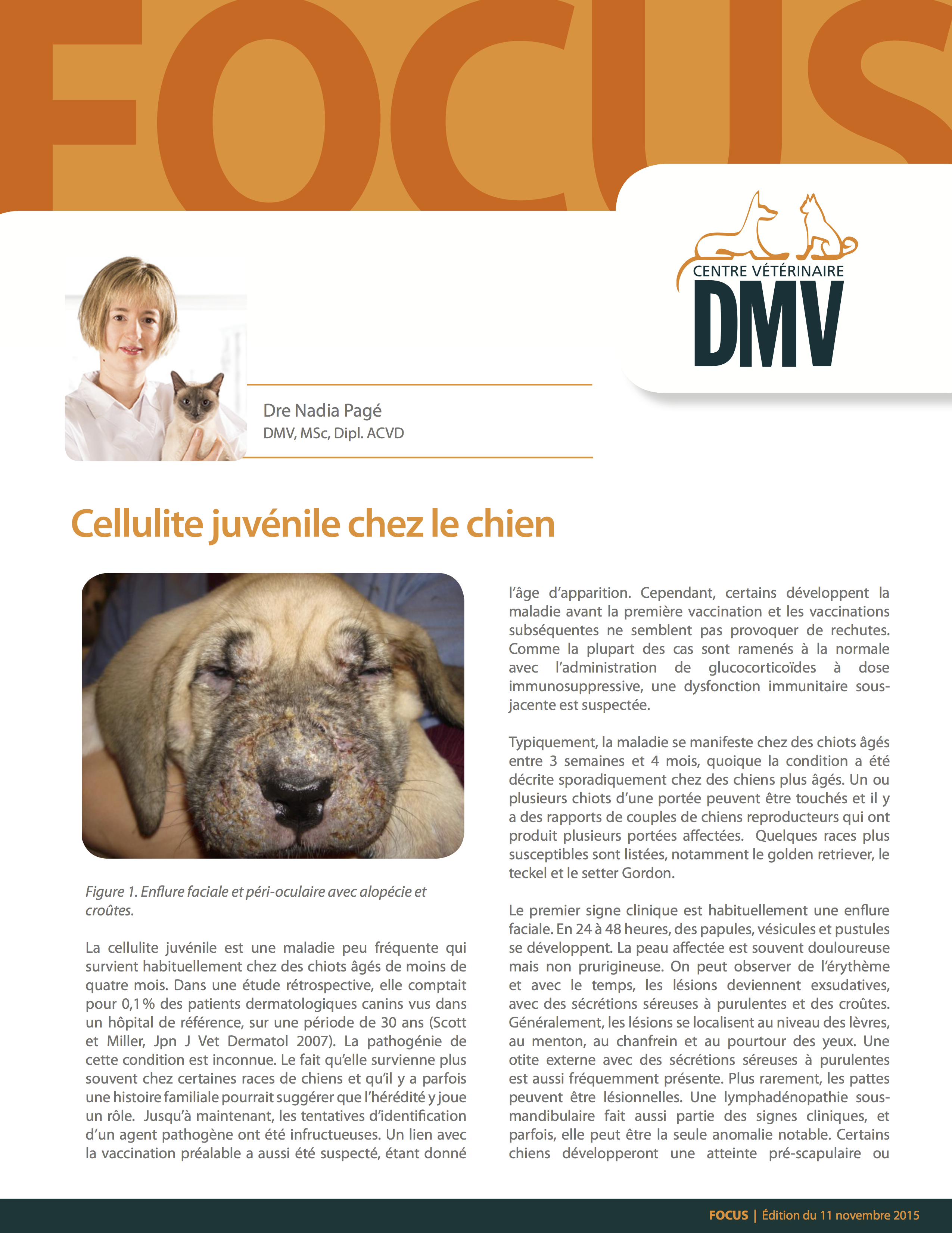 https://www.centredmv.com/wp-content/uploads/2015/11/Cellulite-juvenile-chez-le-chien.pdf